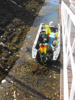 No job is too big for Harbour Clean !